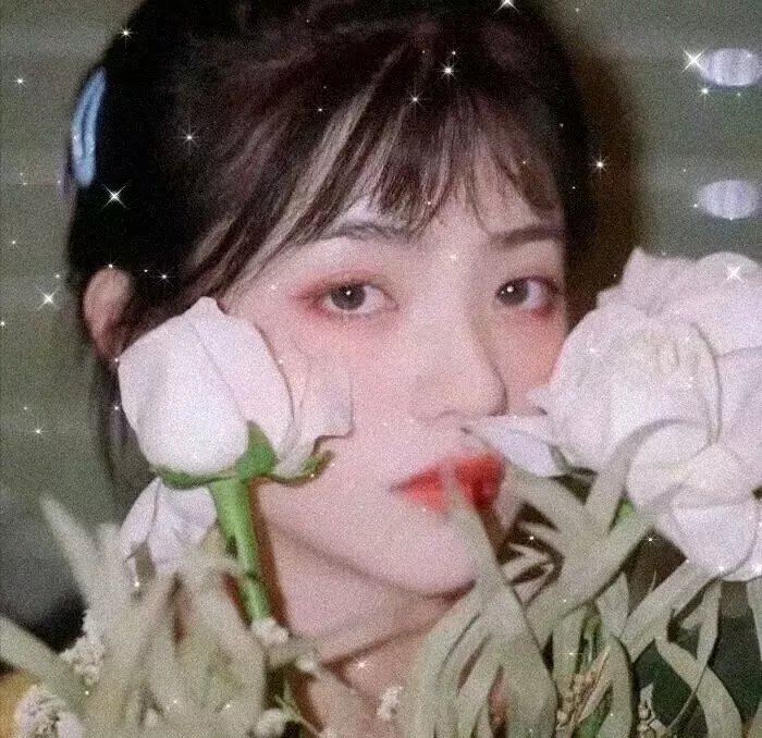 谍海钢面人