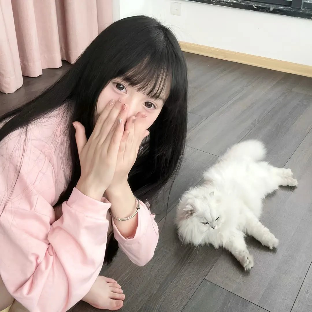 金龟车再现